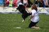 dog_chow-1