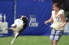 dog_chow-23