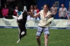 dog_chow-26