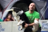 dog_chow-30