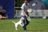 dog_chow-39