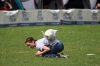 dog_chow-43