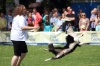 dog_chow-49