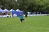 dog_chow-7