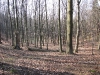 okolice_lysej_gory_3