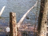 morskie_oko_staw_nowowiejskiego_4