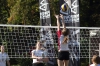Zawody Orlik Volleymania
