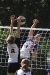Orlik Volleymania