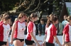 Orlik Volleymania